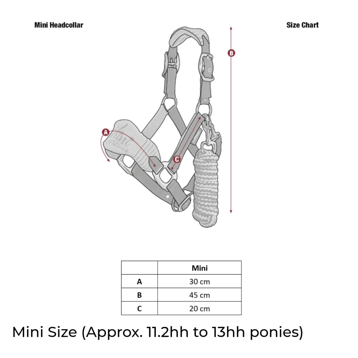 LeMieux Mini Vogue Headcollar